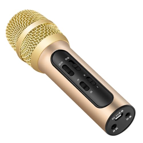 Microphone écho 400 mAh alu plastique chant conférence