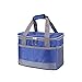 SASAU Picknickbeutel Picknick Rucksack, 5L / 8L Tragbare Oxford wasserdichte Kühlerbeutel Picknick Thermal isoliert EIS Pack Frische Thermo Food Coole Dosen Lunchbox Totes (Color : 8L Blue)