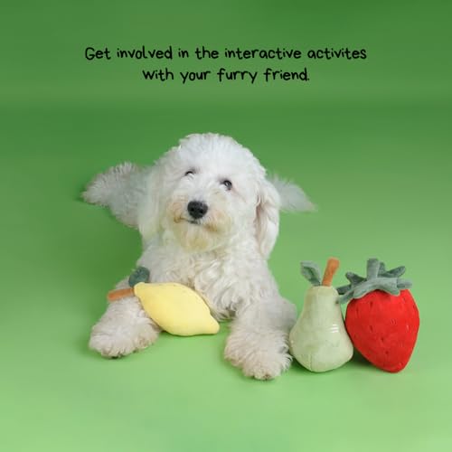 CHEWFFON Quietschende Plüschhundespielzeuge, Hundegeschenke zum Geburtstag für kleine und mittlere Hunde zur Langeweilebekämpfung, 3-stückiges Obst-Hundespielzeug-Satz – Erdbeere, Zitrone, Birne