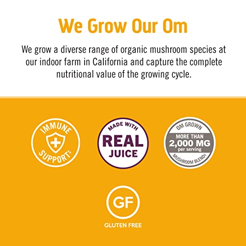 Om Mushroom Superfood Immune Multi Boost, Lemon & Elderberry, Single Serve, Mushroom Blend, Cordyceps, Reishi, Turkey Tail, Chaga, Vitamin C With D3 And Zinc, Immune Support Supplement, Pack Of 10 #TOP6