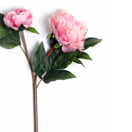 Image of PURE HOME + LIVING Pink Faux Peony Spray (Made of Plastic, Wire and Fabric) for Home, Office and Living Room Decorations (Without Vase)(Height-57cm) Pack of 1