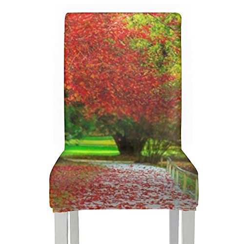 Chair Covers for Dining Roo 4pcs,Amazing Golden Autumn Colors Forest Path Stretch Removable Washable Dining Chair Protector Slipcovers for Home,Kitchen,Party,Restaurant