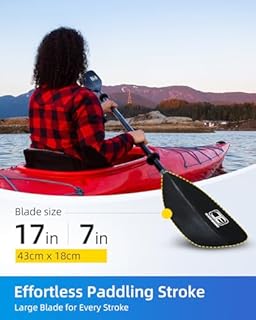 OCEANBROAD Kayak Paddle 86in/218cm Alloy Shaft 2-Piece Floatable Kayak Oar for Kayaking Canoeing Boating, 1 Paddle, Black