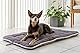 DGS Nano Canvas Sleeper Cushion L: 121 cm B: 78 cm H: 3,5 cm grau