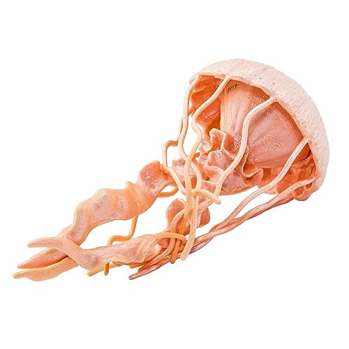 Toob S265529 Safari Incredible Creatures Qualle Miniatur (Mehrfarbig)