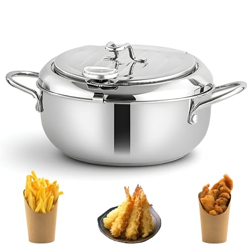 Olla freidora de 2,2 L con filtro de aceite y asa, diseño de dirección de flujo, apta para lavavajillas para freír pescado, camarones, pollo y patatas fritas