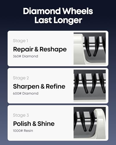 Professional Electric Knife Sharpener