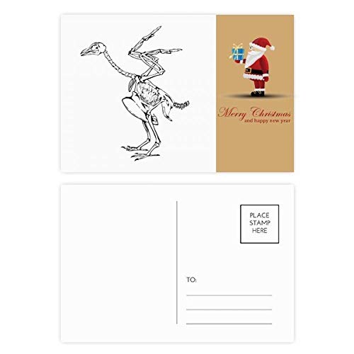 Cartes postales squelette d'autruche Père Noël - Lot de 20 idéal pour accompagner vos cadeaux