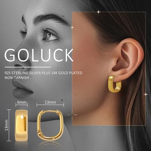 Small Hoop Earrings for Women, 925 Sterling Silver Chunky Hoops Earrings, Hypoallergenic Huggie Hoops, Small Thick Huggie Hoop Earrings for Jewelry Gifts