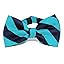Turquoise and Navy Blue