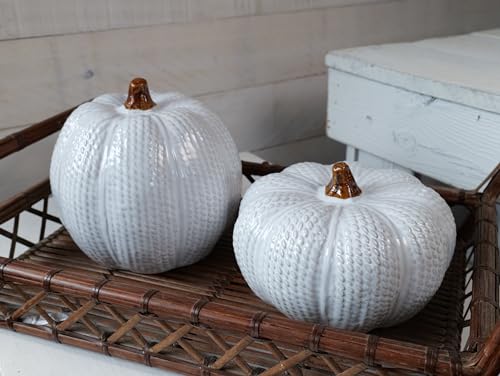 One Holiday Way Elegant Set of 2 Decorative Ceramic Knit White Faux Pumpkin Figurines - Rustic Fall Tabletop Decorations - Autumn Country Farmhouse Harvest Home Decor
