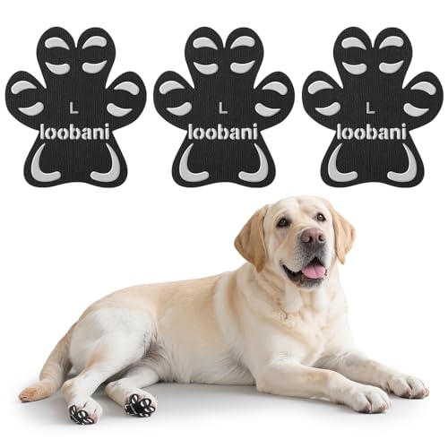 Are dogs paw pads supposed to be rough