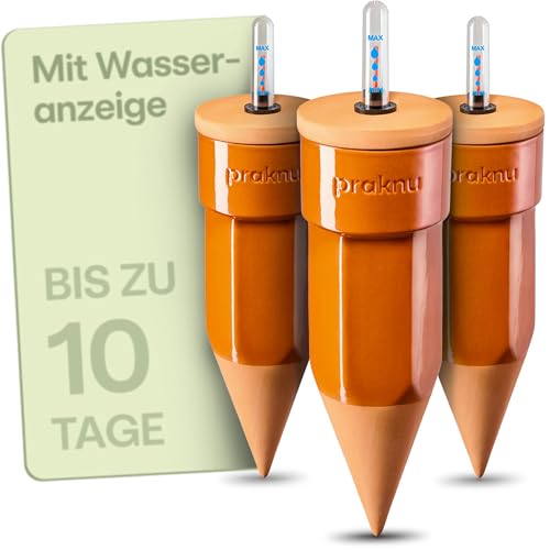 Praknu 3 x Tonkegel Bewässerung mit Deckel & Wasseranzeige – Bis zu 10 Tage – Einfache Reinigung – Bewässerungskugeln Ton – Automatische Bewässerung Zimmerpflanzen Urlaub – Pflanzenbewässerung Indoor