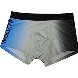 [vantann] [バンタン] WOLLOW ワロー 【W-55】前とじ ボクサーパンツ メンズ 下着 ナイロン ブランド ボクサー(M W-55グラデ)