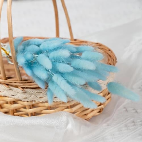 Decoración de Pasto Pampas Seco 50 Piezas Azul Cielo