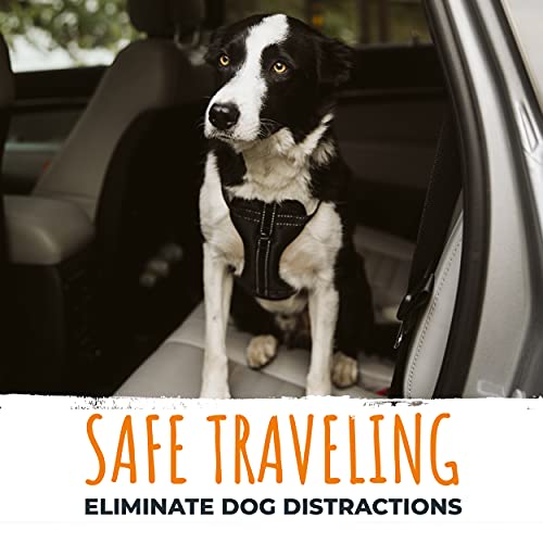 Mighty Paw Dog Seat Belt | Latchbar Dog Seatbelt Tether, Pet Seat Belt For Car, Dog Car Leash, Dog Safety Belt For Car, Seatbelt For Dog In Car, Dog Seat Belt For Car, Dog Car Seat Belt Large - Puppy #TOP5