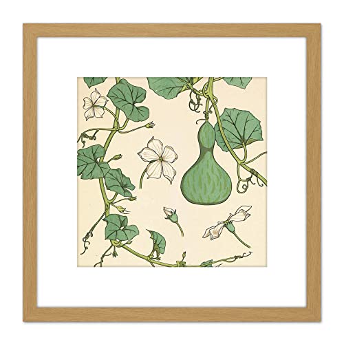Artery8 Verneuil Ornamental Gourd Squash Plant Design 8X8 Inch Square Wooden Framed Wall Art Print Picture with Mount