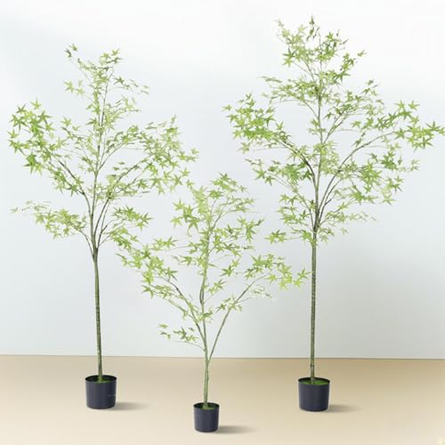 HWQFM tFCNO[ lHϗtA ϗt ϗtA   ItBX A A CeA ^   ͂Ȃ sv b炸 210cm j k |bgt rO ItBX X  tFCNvg