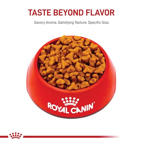 ROYAL CANIN Breed Health Nutrition Pug Adult Dry Dog Food, 10-Pound by Royal Canin