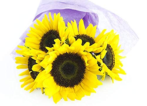 Kabloom Prime Overnight Delivery - Summer Smile Bouquet Of Fresh Sunflowers #TOP1