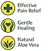 Globe (3 Pack) Hemorrhoid Cream, Relief with Aloe, (1.8 Ounce Tube) Relief from Hemorrhoids, Piles, Itching, Burning, Discomfort, & More