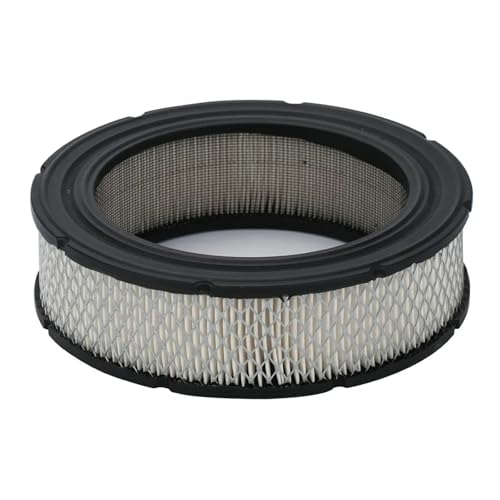 Filtre à air Briggs Stratton 692519 pour tondeuse à gazon