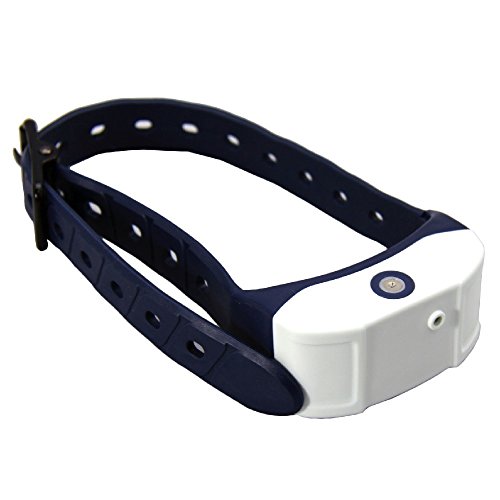 citronella dog collar canada
