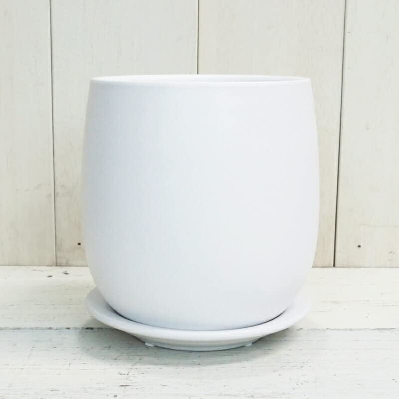 Amazon.co.jp: 植木鉢 おしゃれ 陶器鉢 オストボールL＜ 20.5cm 7号 穴