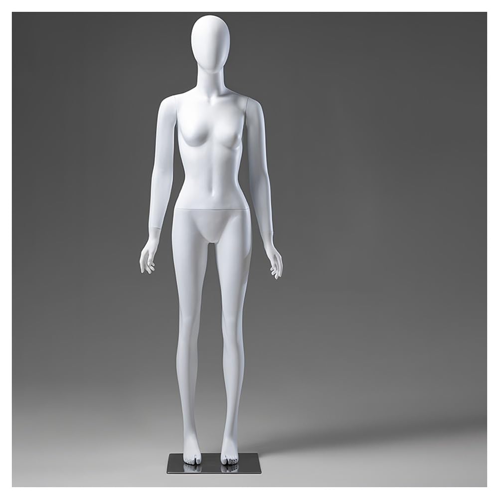 Female Mannequin Full Body, Detachable Dress Form Full Body, Realistic Female Dress Form with Metal Base, for Clothing Retail Shop & Photography(170cm)