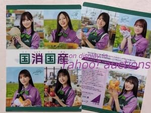 Amazon.co.jp: 乃木坂46◇JAグループ 両面プリント クリアファイル 2枚 