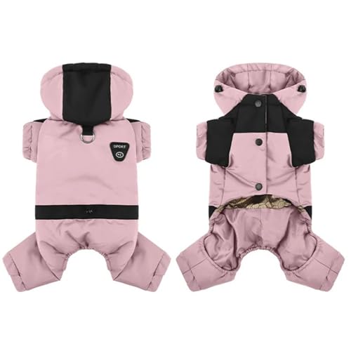 ~gȌR[gOhhhybgt[ht_EWPbgViEU[Čp,C,L