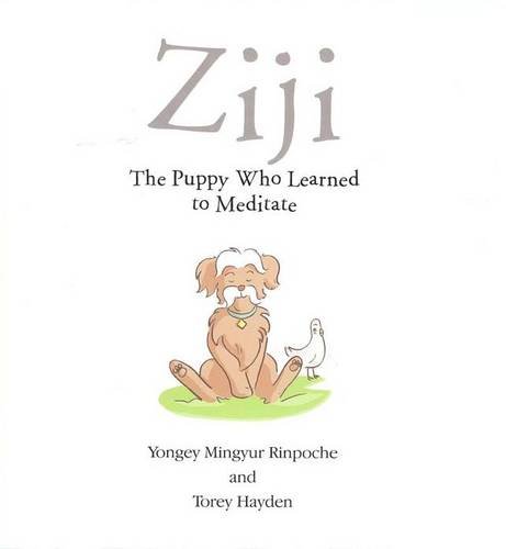 Ziji: The Puppy Who Learned to Meditate