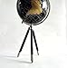 Decorative World Globe on Tripod Stand – 17