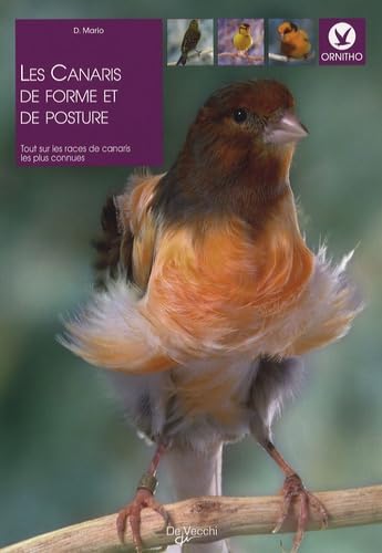 livre Les canaris de forme et de posture