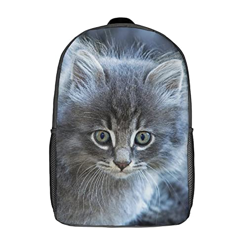 Sac à dos d'école chat pour accompagner la journée de classe et les voyages