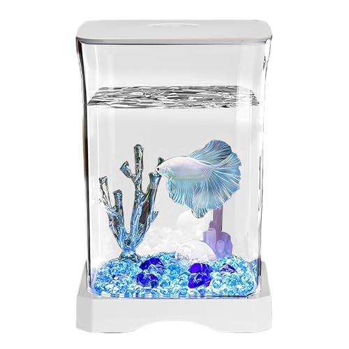 Betta Fish Aquarium - LED�����v�t�����^�e�[�u���A�N�A���E���X�^�[�^�[�Z�b�g�A���S�Ҍ��������`�~�j���� | Betta Fish Aquarium�x�^�A�i�m�t�B�b�V���A�f�X�N�̑����A���r���O���[���̃e�[�u���A�q�������A�X�e�B���{�ɍ�