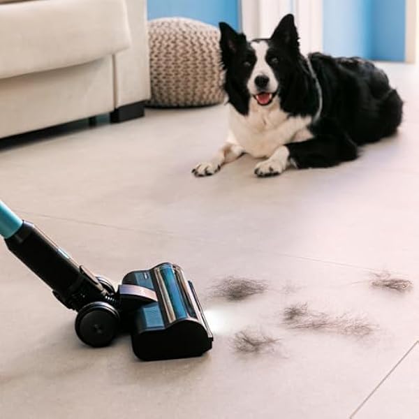 Беспроводной вертикальный пылесос Cecotec Conga Rockstar 3500 Storm Pet Flex. 500 Вт, 150 АВ, время работы 70 мин в режиме Eco, щетка, предотвращающая запутывание, гибкая трубка, щетка для сбора шерсти