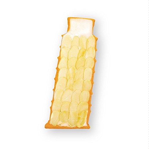 Torre pendente di Pisa souvenir e stampino per