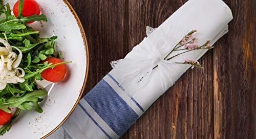 Kozy Kitchen Bistro Stripe Napkins, 100% Cotton 20-Inch By 20-Inch Napkin, Blue Or Pink Stripe Cloth Napkin (Blue, 6) #TOP3