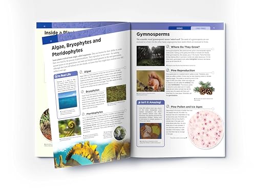 Image of Living Things : Science Knowledge Encyclopedia for Children