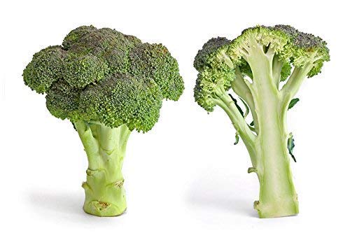 Broccoli Organic Non GMO 250 Seeds Microgreen Sprouting Hydroponic Broccoli Waltham (Brassica Oleracea) by OrOlam