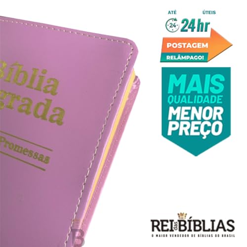 Kit 10 Bíblias Sagrada Pequena - Luxo Variadas 9x13 cm