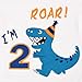 Dinosaur Birthday T Shirt - 2nd Birthday Party Supplies Toddler Boys Gift Short Sleeve White T-Shirt 100% Cotton Crew Neck T-Rex Printed Embroidery Graphic Top Tee