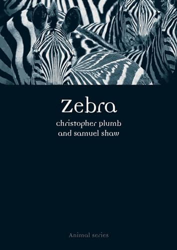 Preisvergleich Produktbild Zebra (Animal)