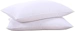 Puredown® Goose Feather Down Pillows, Bed Pillows for Sleeping, Hotel Pillows Queen Size 2 Pack with 100% Cotton Cover (Blue Edge, Queen)