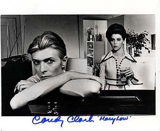 CANDY CLARK (The Man Who Fell to Earth) 8x10 Female Celebrity Photo