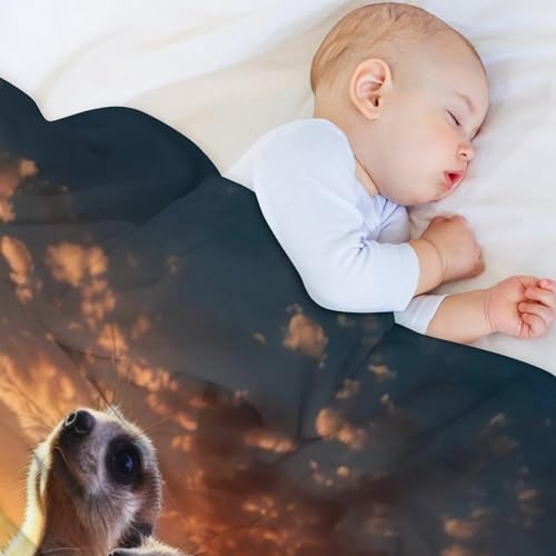 Couverture de salon en flannel douce Suricate pour vos soirées cocooning - 5