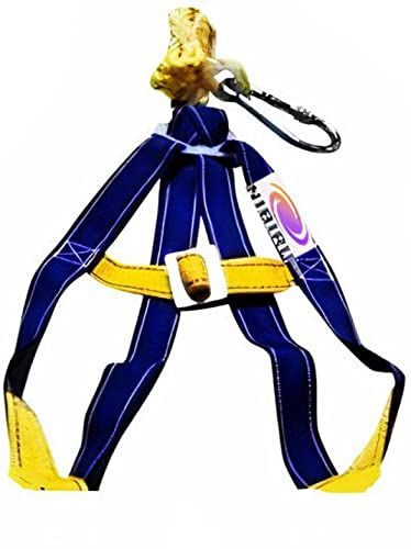 Nibiru Half Body Safety Harness with single Rope and Heavy Duty Snap Hook Safety Harness (Free Size)