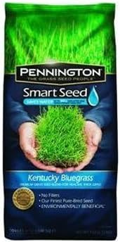 Pennington 100086848 Smart Seed Kentucky Blue Blend, 7-Pound