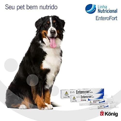 ENTERO FORT PASTA 15G - Suplemento alimentar simbiótico para a manutenção do bom funcionamento do tr